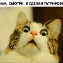 ���� ���, ������-���, 47 ��� - ��������� 15 ������ 2020 � ������ ������ ��������