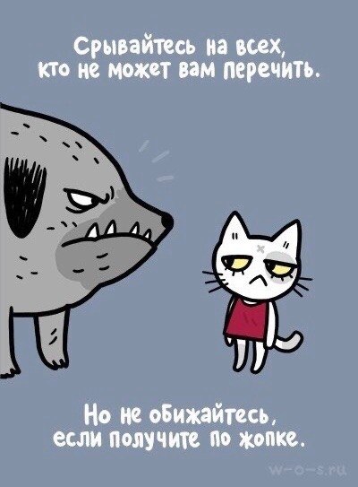   ,     : - 3