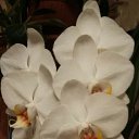 ���� �����, ���������, 47 ��� - ��������� 18 ������ 2020 � ������ ���� ����������