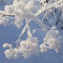 ���� �������, �����, 59 ��� - ��������� 4 ������ 2020 � ������ ���� ����������