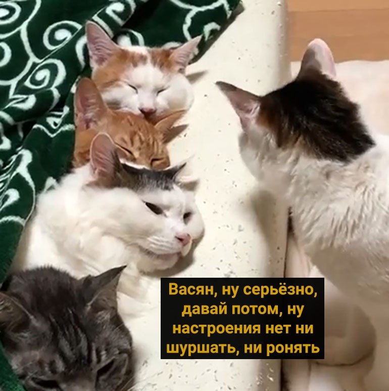     - 5