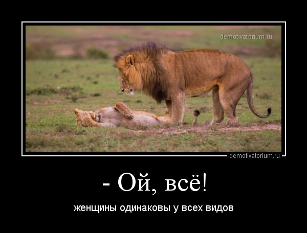           , . :-)