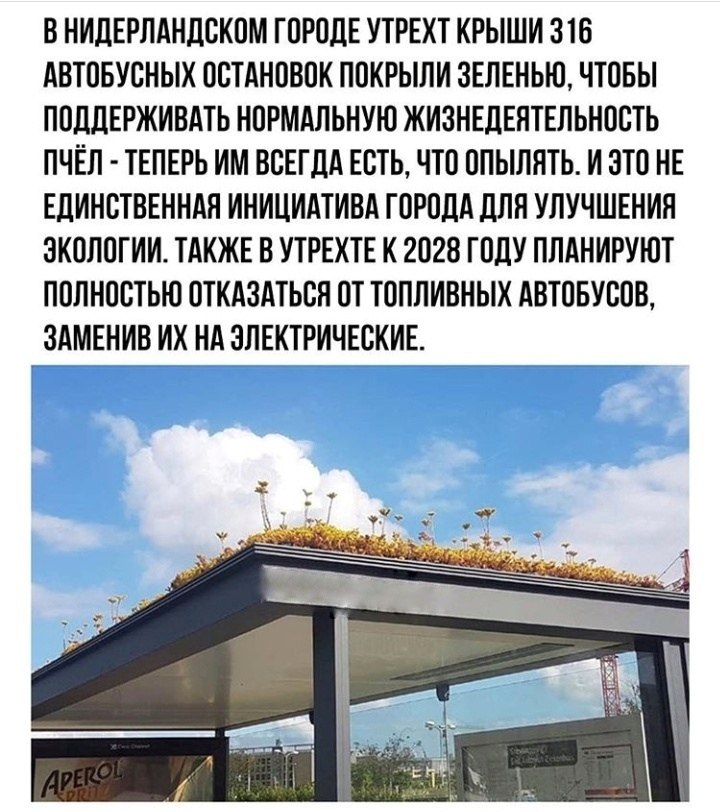 LIFE -  - 5  2020  19:04