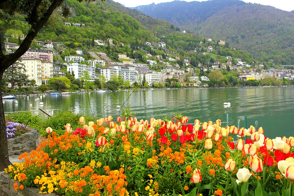 Ш (MONTREUX),.  25     ,     ... - 8