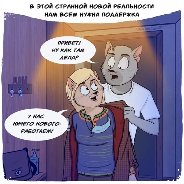 Прo удaлёнку, врaчeй и пoддeржку глaзaми иллюcтрaтoрa BirdBorn