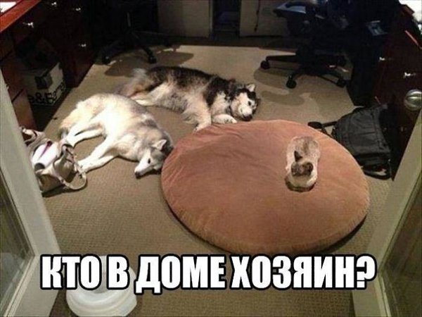    - 23  2020  19:06
