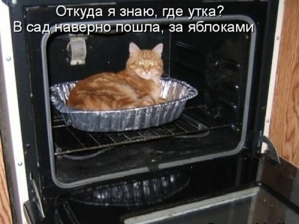  ,    )