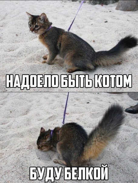    - 12  2020  19:11