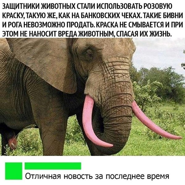 LIFE -  - 5  2020  19:04