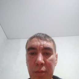 ������, ������, 49 ���