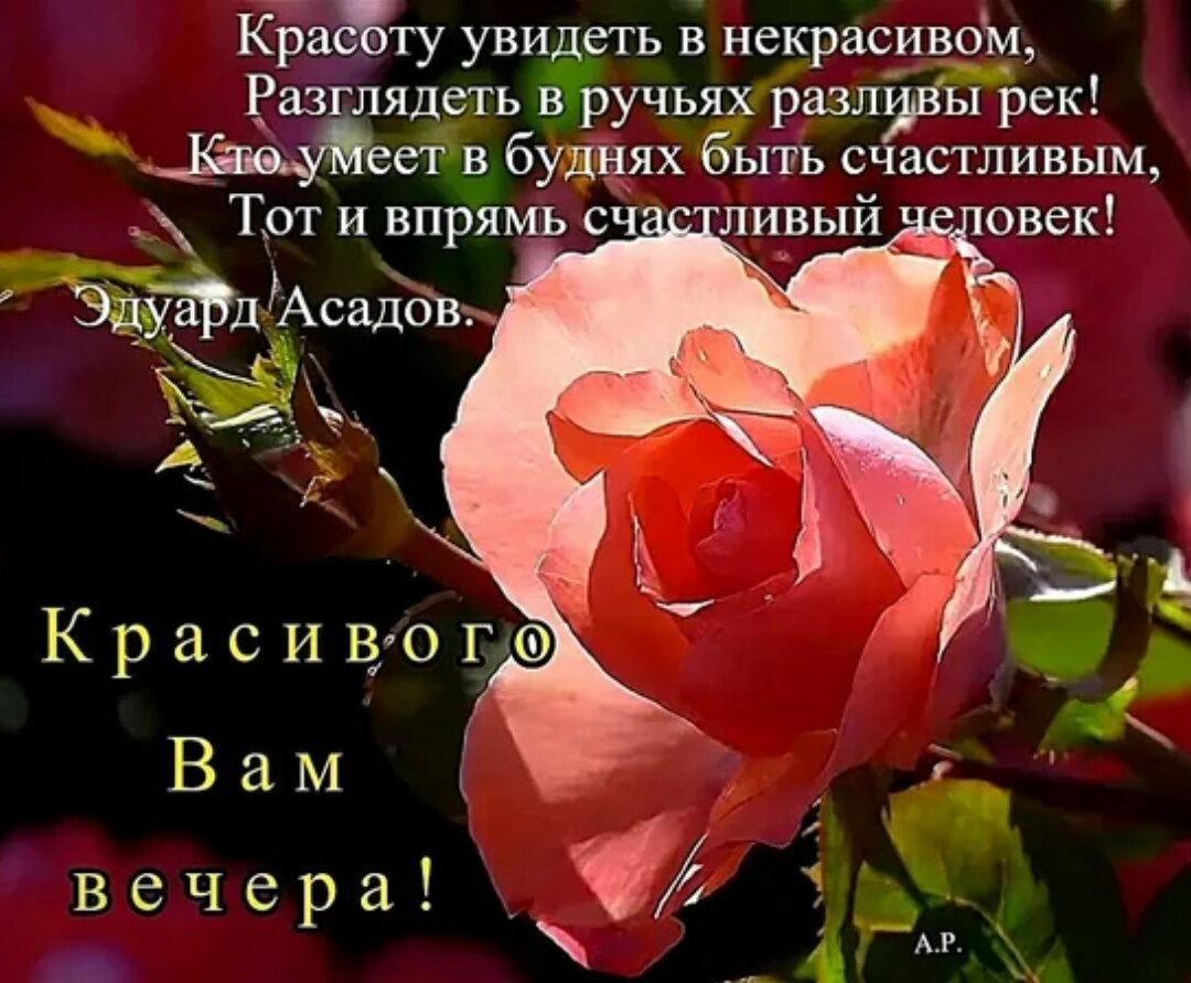 ����������� � ���������, �������� �� ������ ����. - 26 ������� 2020 � 18:04
