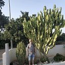 ���� ��������, ���������, 46 ��� - ��������� 18 ����� 2020 � ������ ���� ����������