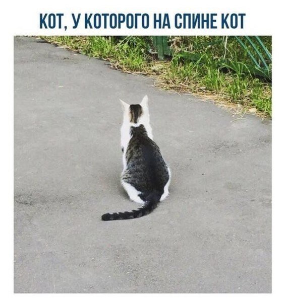    - 19  2020  18:59