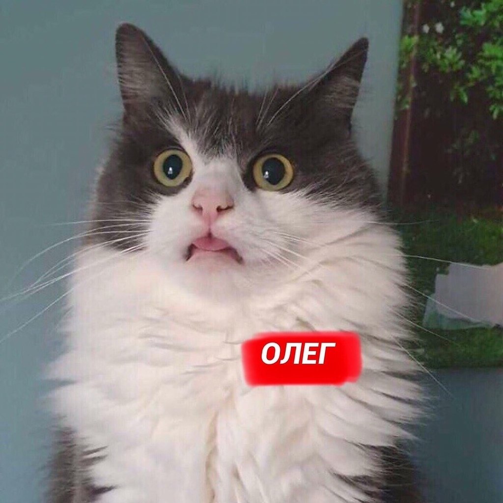    : - 3