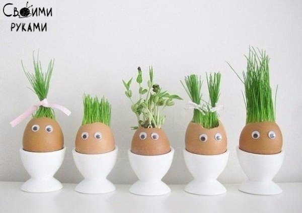 А Вы уже вырастили таких смешных человечков? Огород в яичных скорлупках. Отличный эксперимент для ...