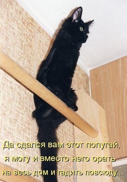    - 23  2020  19:06
