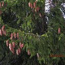 ���� ��������, Kouvola, 78 ��� - ��������� 24 ����� 2020 � ������ ������