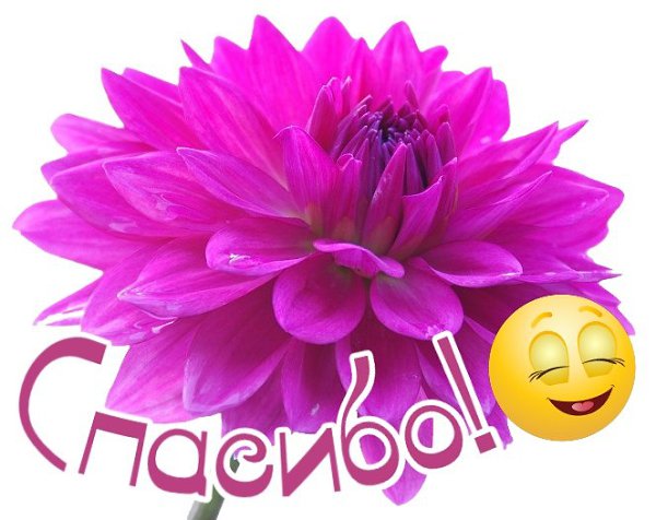   ,    . - 18  2020  17:37