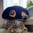 ���� Alex, ������, 39 ��� - ��������� 23 ������� 2020 � ������ ������ ��������