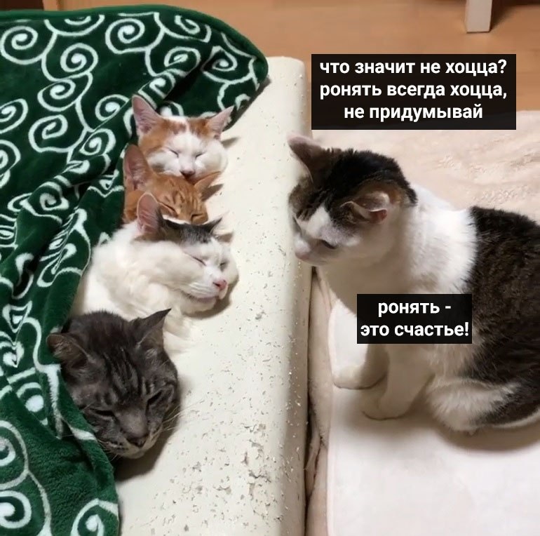      - 4