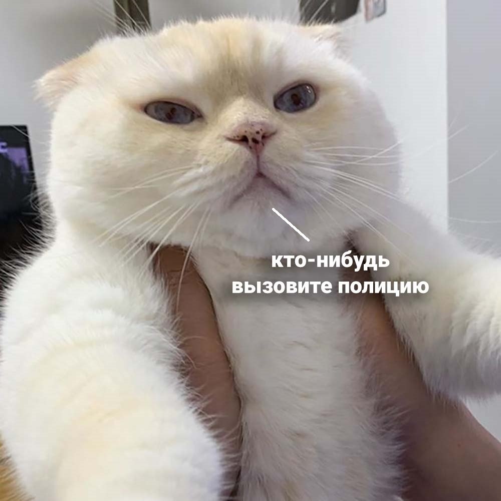  -        - 5