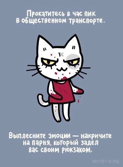   ,     : - 6