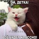 ���� �����, ��������, 54 ���� - ��������� 25 ���� 2020 � ������ ���� ����������