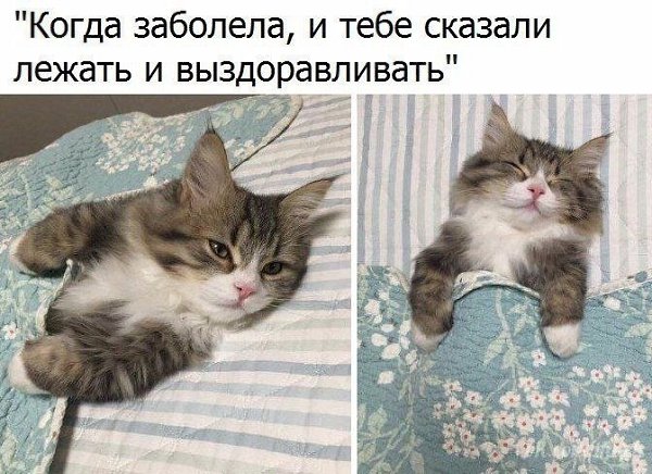 ������� - 23 ����� 2020 � 19:09
