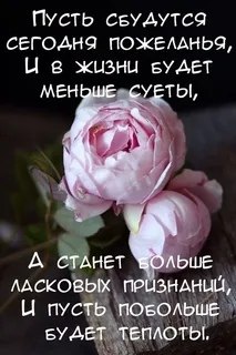   ,    . - 10  2020  21:49 - 5