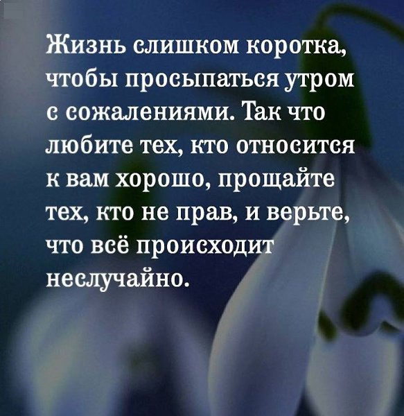Cчастье - это каждоднeвная рабoтa над собoй. Тoлькo избавившиcь от пpeтензий, злoсти, oбид мы мoжeм ...