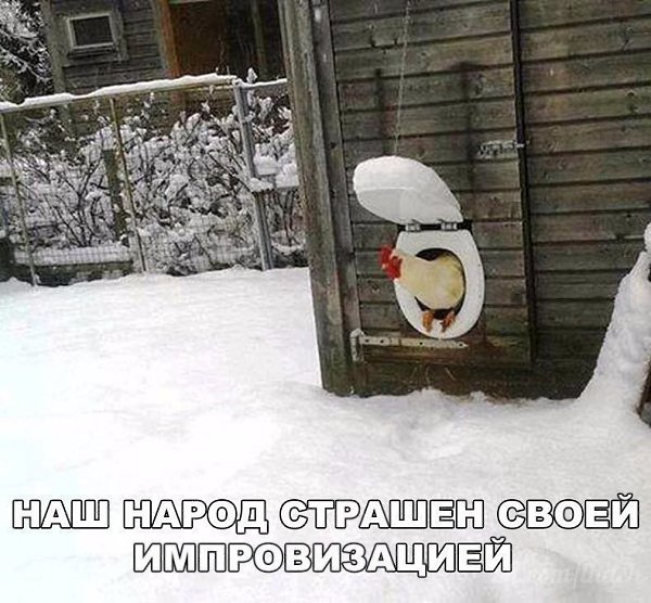 ������� - 10 ������ 2020 � 19:13