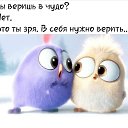 ���� ����� ��������, ����-�����������, 52 ���� - ��������� 2 ������� 2020 � ������ ���� ����������