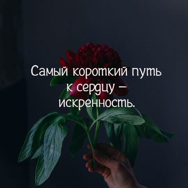    - 24  2020  19:06