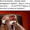 ���� �����, ������-��-���� - ��������� 1 ��� 2020 � ������ ������ ��������
