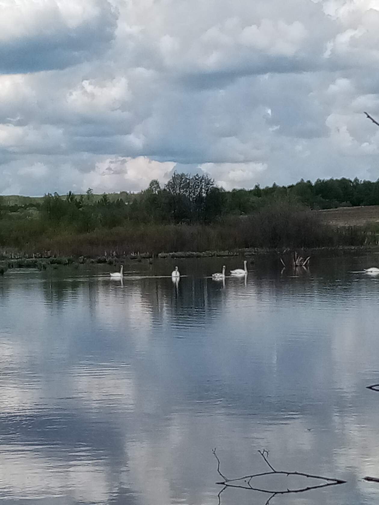  - 17  2020  21:06 - 2