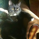 ���� �����, ������, 43 ���� - ��������� 1 ������ 2020 � ������ ���� ����������