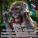 ���� ����, ������� - ��������� 11 ������ 2020 � ������ ������ ��������