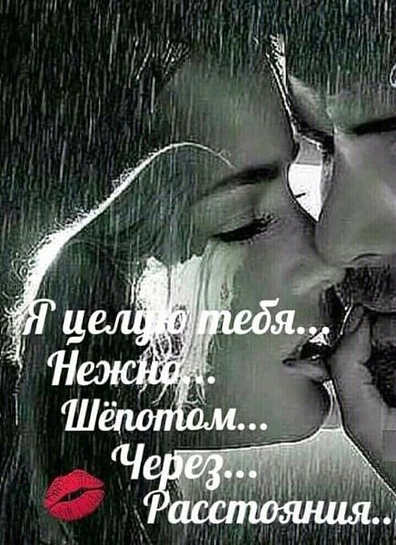 Целую сердцем твое сердце, Коснусь души душою… Беззвучно, ласково и нежно Невидимой волною… Разрушу ...