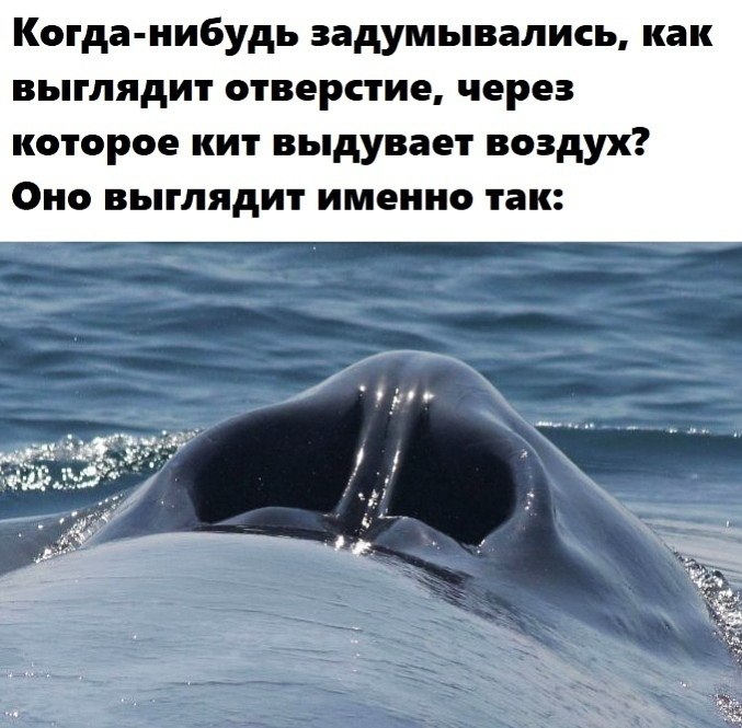 LIFE -  - 21  2020  19:09