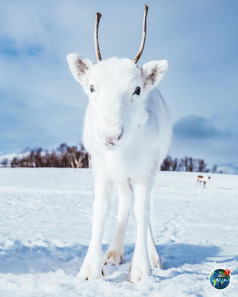 ae e oe a oe cea, ope. ope oa a a oee: ceep  ... - 5