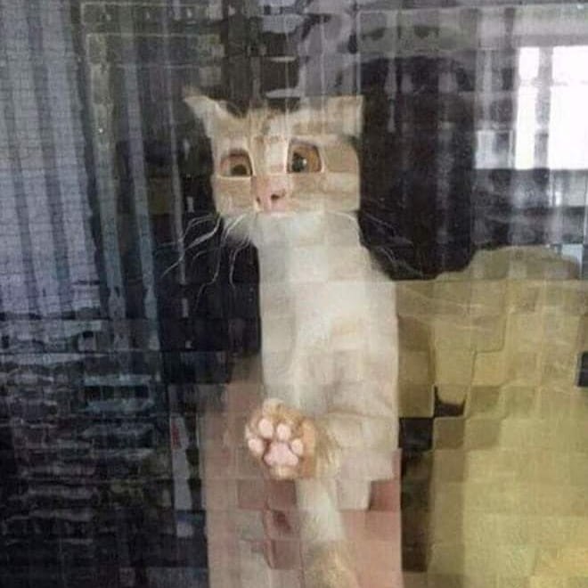    - 8