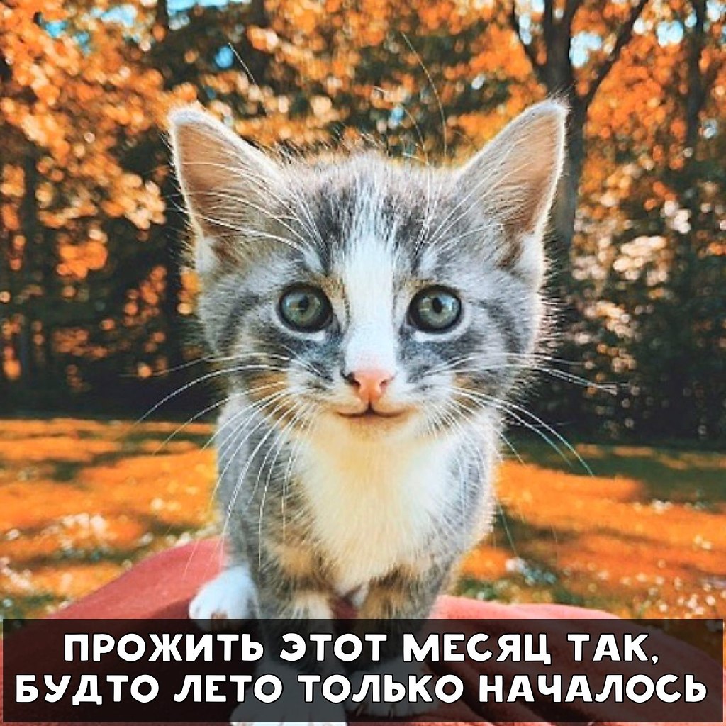     - 7
