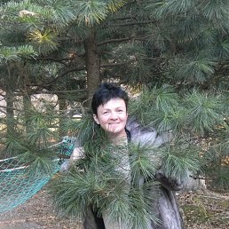 �������, ������� ������, 55 ���