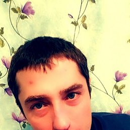 ���������, �������, 41 ���