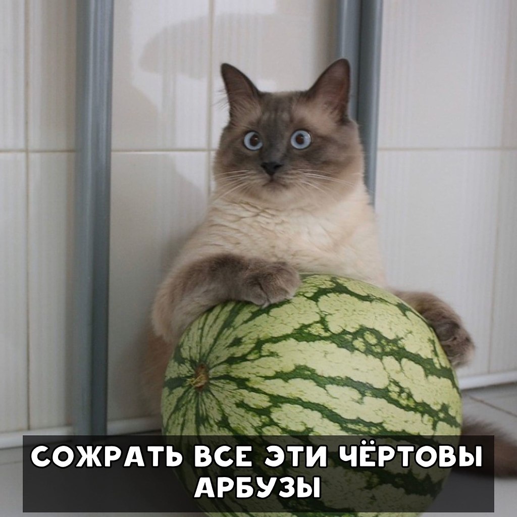     - 5