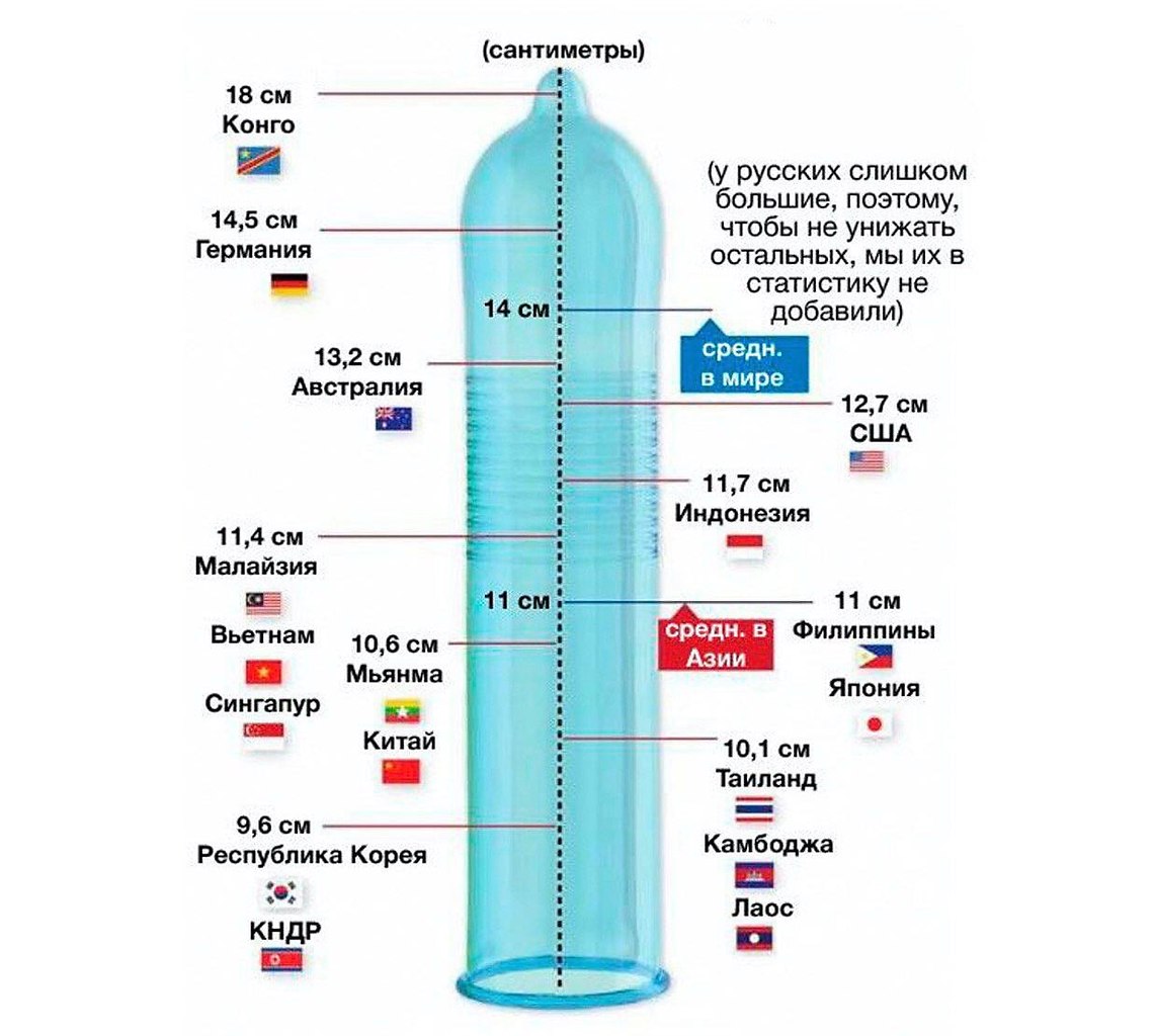 Член 10 см картинки