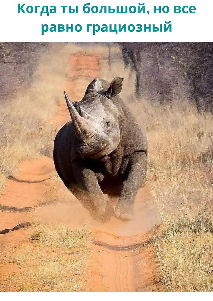 LIFE -  - 5  2020  19:55