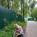 ���� �������, ������, 66 ��� - ��������� 9 ������� 2020