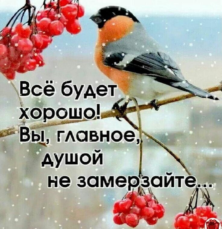  - 22  2021  22:06