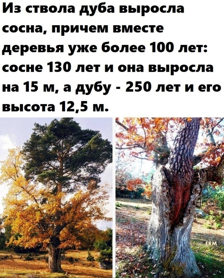 LIFE -  - 27  2020  20:51